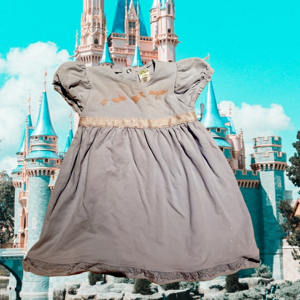 ⭐3/$10 Peter Pan Wendy Disney Store dress